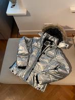 Zilveren winterjas Miss America maat L, Ophalen, Zo goed als nieuw, Maat 42/44 (L), Grijs