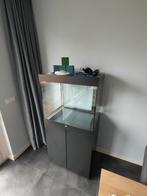 Prachtig Juwel Lido 200 aquarium; kan bezorgen evt., Dieren en Toebehoren, Vissen | Aquaria en Toebehoren, Ophalen, Gebruikt, Leeg aquarium