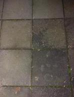 Gratis 250 beton tegels 50 x 50, Ophalen of Verzenden, Gebruikt, Overige materialen