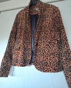 Panter colbert/Bandolera., Ophalen of Verzenden, Gedragen, Maat 42/44 (L), Bruin