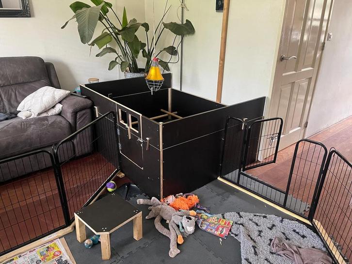 Werpkist voor puppy’s met warmtelamp en camera complete set, Dieren en Toebehoren, Honden-accessoires, Zo goed als nieuw, Ophalen