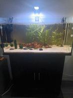 Compleet aquarium wegens niet ophalen nog te koop, Dieren en Toebehoren, Vissen | Aquaria en Toebehoren, Ophalen, Zo goed als nieuw