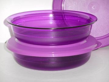 Tupperware Exclusieve Multischaaltjes 350 ml. Paars (2) beschikbaar voor biedingen