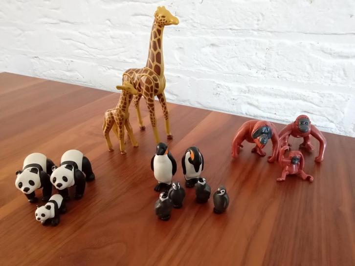 Giraf(6640), panda (6652), pinguin (6649), orang-oetang, Kinderen en Baby's, Speelgoed | Playmobil, Gebruikt, Ophalen