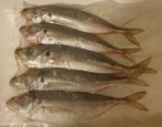LAATSTE!! 7 PAK Verse Hormakreel 20/25 cm 5 stuks voor €4, Ophalen of Verzenden, Nieuw, Overige typen