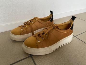Z g a nieuwe Brunotti sneakers maat 39 beschikbaar voor biedingen