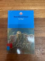 Nachtverhaal - Paul Biegel, Ophalen of Verzenden, Gelezen, Fictie algemeen
