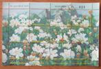 Thailand, blokje Witte bergbloemen, 2000, Verzenden, Postfris, Dier of Natuur