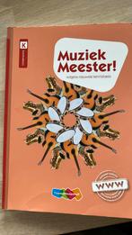 Rinze van der Lei - Muziek Meester!, Rinze van der Lei; Lieuwe Noordam; Frans Haverkort, Ophalen of Verzenden, Zo goed als nieuw