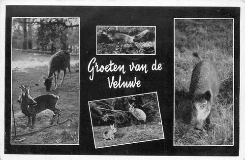 (388-474-001) Veluwe, Verzamelen, Ansichtkaarten | Nederland, Gelderland, Verzenden