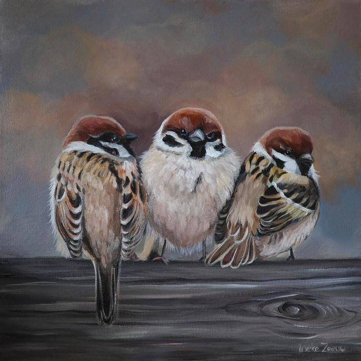 Schilderij mussen op t hek, Huis en Inrichting, Woonaccessoires | Schilderijen, Tekeningen en Foto's, Nieuw, Schilderij, Minder dan 50 cm