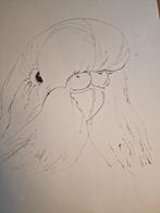 13 schetsen van vogels op papier, Antiek en Kunst, Ophalen of Verzenden