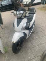 Sym, Ophalen, Gebruikt, 50 cc, Maximaal 25 km/u