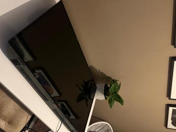 Philips 43 inch - Model 43PFS4112/12 beschikbaar voor biedingen
