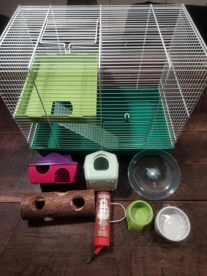 Hamsterkooi compleet met materialen en verzorging, Dieren en Toebehoren, Knaagdieren en Konijnen | Hokken en Kooien, Kooi, Minder dan 60 cm