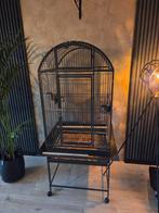 Papegaaien kooi, Dieren en Toebehoren, Vogels | Hokken en Kooien, Ophalen of Verzenden, Zo goed als nieuw, Metaal, Vogelkooi