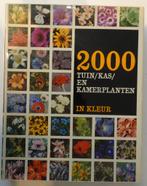 2000  Tuin Kas en Kamerplanten  K1, Ophalen of Verzenden, Halfschaduw, Minder dan 100 cm