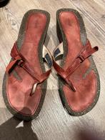Teva sandalen maat 40, Kleding | Dames, Schoenen, Sandalen of Muiltjes, Ophalen of Verzenden, Zo goed als nieuw, Rood