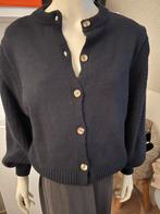 Nieuw! La fee maraboutee vest mt L  ballon mouw, Verzenden, Nieuw, Maat 38/40 (M), Blauw