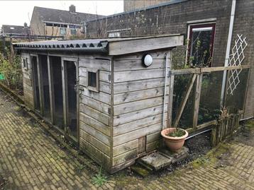 Kippenhok / kippenren met 2 broedhokken