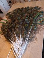 Pauwenveren - Decoratie, Ophalen of Verzenden, Gebruikt, Materiaal