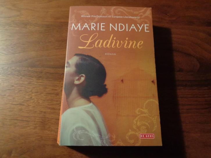 Ladivine - Marie Ndiaye, Boeken, Romans, Zo goed als nieuw, Europa overig, Ophalen of Verzenden
