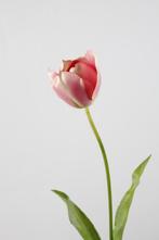 Kunst tulp deluxe roze kunsttulp bloem stoer sober landelijk