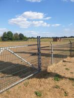 Weiland te huur omheind met hekwerk, Weidegang, 4 paarden of pony's of meer