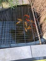 Complete vijver polyester bak van 2.4 x 1.5 met toebehoren, Ophalen of Verzenden