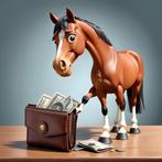 Financiering aankoop paard mogelijk, Stalling of Weidegang