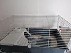 Caviahok gratis op te halen, Dieren en Toebehoren, Gebruikt, Hok, 75 tot 110 cm, Cavia