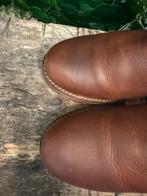 gewoon Nieuwe gevoerde boots van Panama Jack maat 37, Bruin, Lage of Enkellaarzen, Ophalen of Verzenden, Zo goed als nieuw