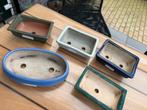 Bonsai schalen gebruikt 5 voor 12,50, Tuin en Terras, Bloempotten, Prebonsaiachterhoek, Gebruikt, 7009CT, Overige vormen