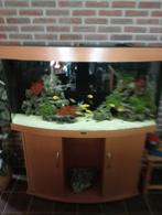 Juwel vision 1.20 met of zonder vissen /inrichting, Dieren en Toebehoren, Vissen | Aquaria en Toebehoren, Ophalen of Verzenden