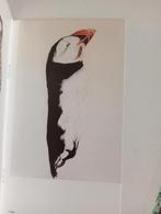 Roos Holleman - Jan Knegt Gallery catalogus, Antiek en Kunst, Ophalen of Verzenden