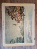 Kampen en de IJseldelta, Antiek en Kunst, Antiek | Schoolplaten, Ophalen of Verzenden, Geschiedenis