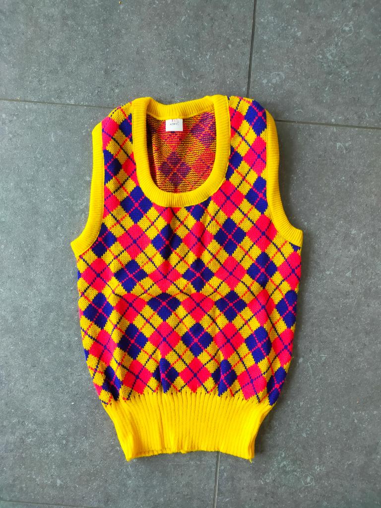 70s spencer ruit engels posh vintage zeventiger new old, Nieuw, Ophalen of Verzenden, Jongen, Trui of Vest