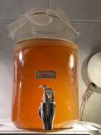 Kombucha Scoby zwam, Ophalen of Verzenden, Nieuw