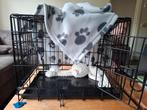 Puppy bench of kleine honden bench, Dieren en Toebehoren, Ophalen of Verzenden, Zo goed als nieuw, Minder dan 75 cm, Minder dan 65 cm
