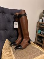 Paardrijlaarzen QHP Bruin, Dieren en Toebehoren, Paardrijkleding, Dames, Ophalen of Verzenden, Schoeisel, Nieuw