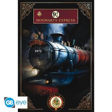 Harry Potter - Poster Maxi (91.5x61cm) - Hogwarts Express beschikbaar voor biedingen