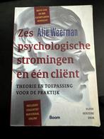SOCIAL WORK - Zes psychologische stromingen en één cliënt, Overige vakken, Boom, Ophalen of Verzenden, Zo goed als nieuw