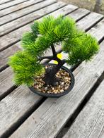 Decoratie boompjes, Ophalen, Nieuw