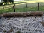 Eiken stam, Ophalen, Zo goed als nieuw, 250 cm of meer, Palen