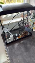 Aquarium, Ophalen, Gebruikt, Leeg aquarium