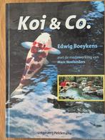 Koi & co, Ophalen of Verzenden, Nieuw