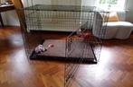 honden bench groot, Dieren en Toebehoren, Ophalen, Gebruikt