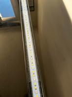 Fluval led aqaurium licht met app voot zonsonderdag, Ophalen of Verzenden, Gebruikt, Verlichting of Verwarming