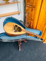 Vintage Mandoline gitaar inclusief koffer, Ophalen, A, A, A