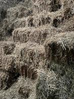 Stro in kleine balen gersten stro, Ophalen, Vee